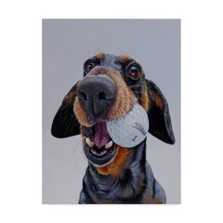 Trademark Fine Art